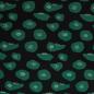 Preview: Viskose Webware BLACK Blossom by Käselotti, grün