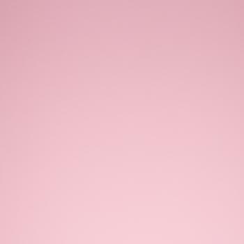 Sweat Maike - rosa