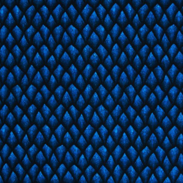 Davos Sweat Blau – Drachenschuppen Stoff angeraut, weicher Baumwoll‑Sweat für Hoodies & Kostüm